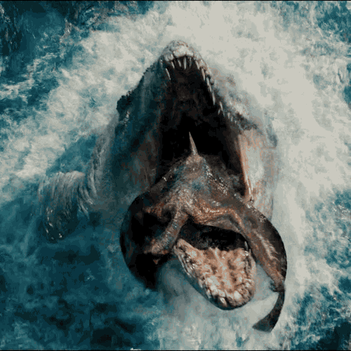 tumblr_npa3czGWM31u47gvjo1_500.gif