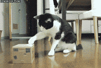 UhUsPe4ZzIISc.gif