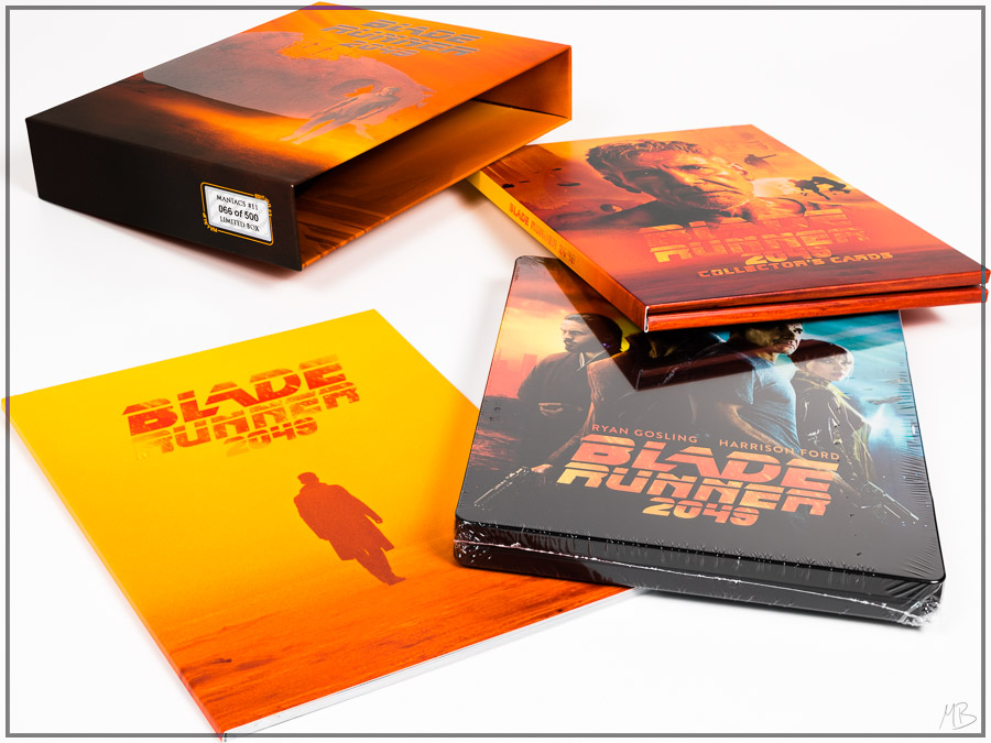 br2049maniacos30.jpg