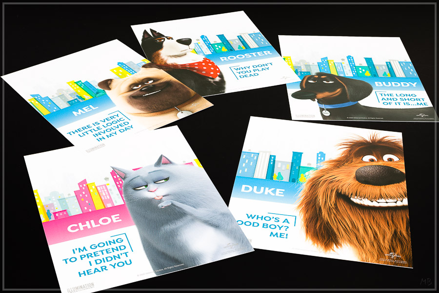 pets2-11.jpg