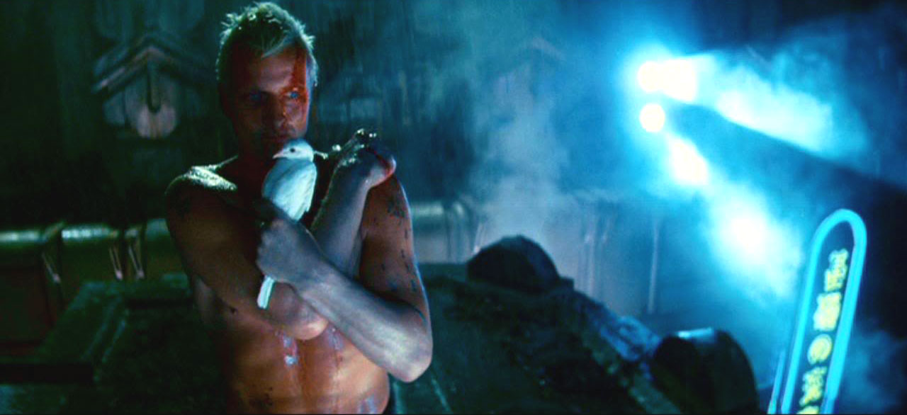 pdvd_710.jpg