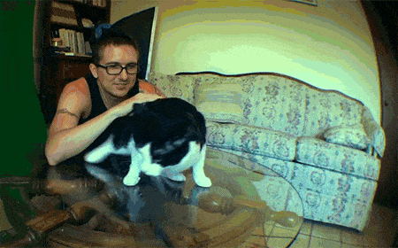 giphy.gif