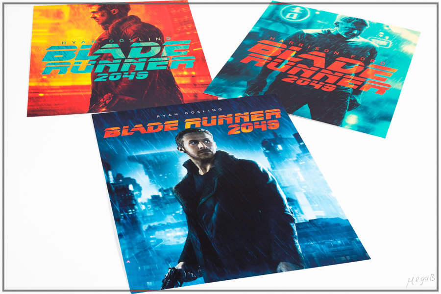 br2049jp9.jpg