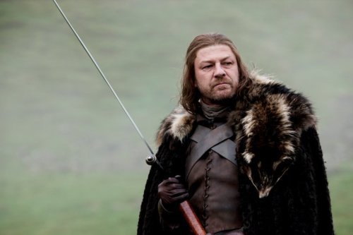 Eddard-Ned-Stark-game-of-thrones-20625846-500-333.jpg