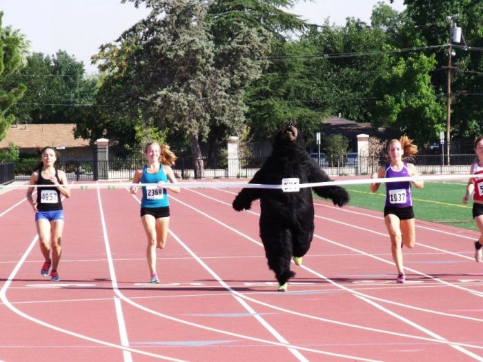 bear-running-race-girls-win-13434118860.jpg