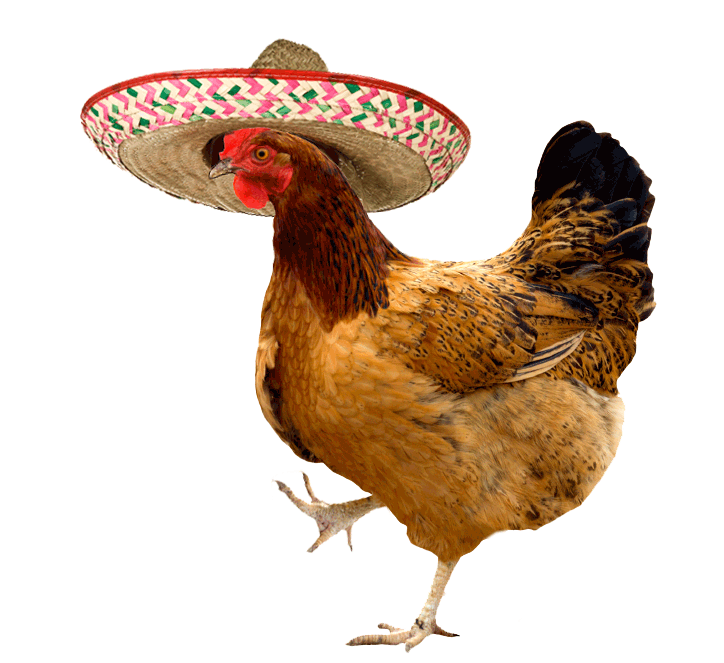 chicken_sombrero.gif