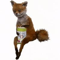 Fox Lol GIF by SkinnyPop