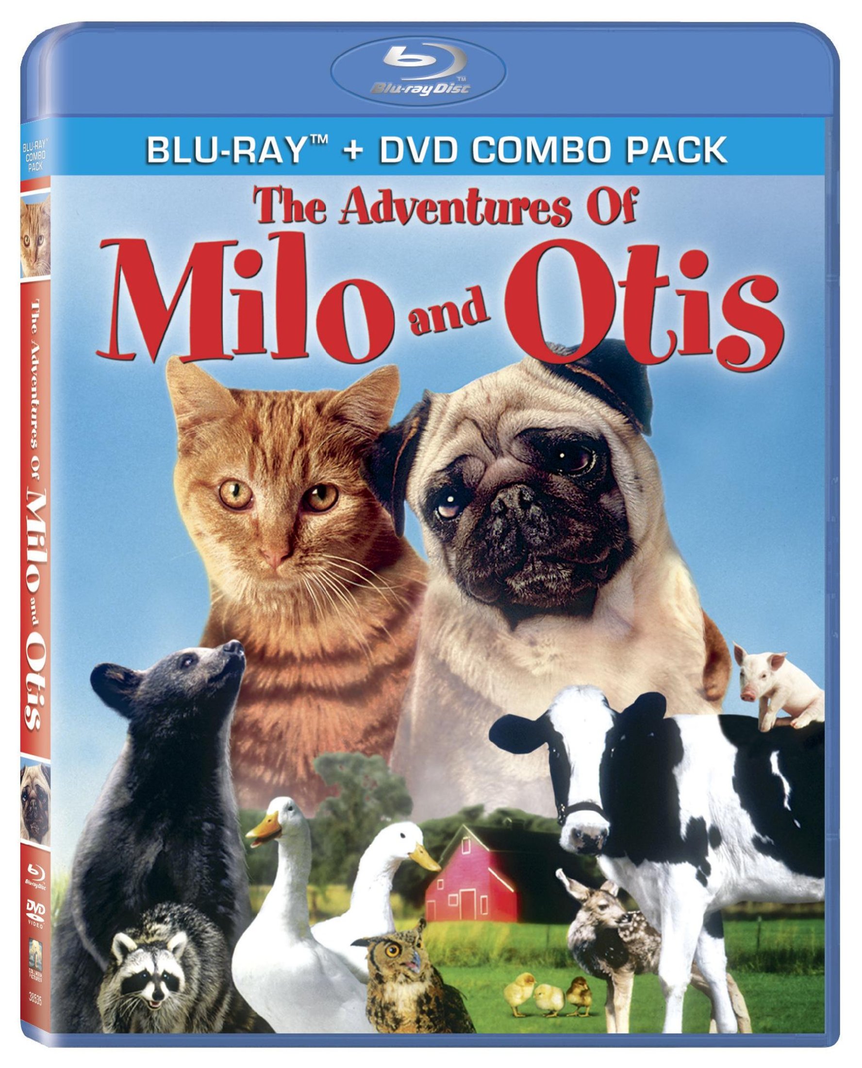 Did Milo And Otis Survive? The Surprising Truth - qviah81