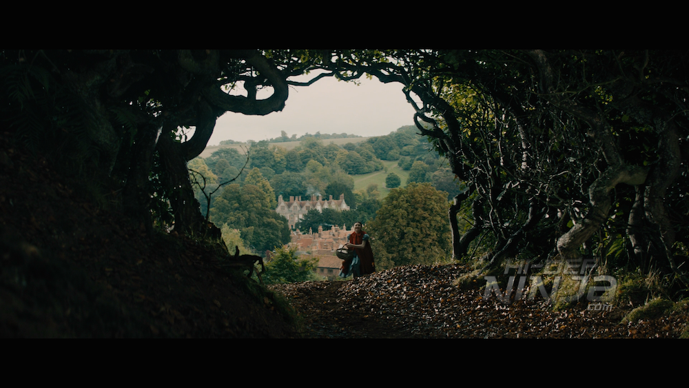 Лес трейлер. Into the Woods Гоблин. Start лес трейлер. Adventures into the Woods. Start лес трейлер обложка