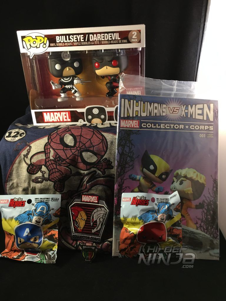 Funko Marvel Collector Corps Box Review February 2017 Hi