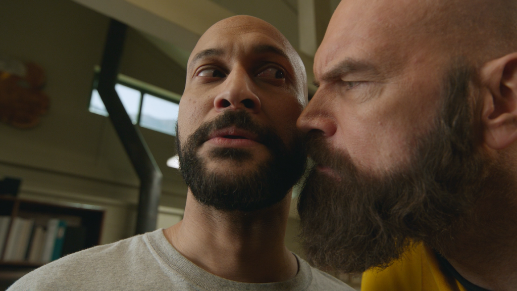 Playing With Fire : Brianna Hildebrand, Keegan-Michael Key, John Cena, Dennis Haysbert, Judy Greer, John Leguizamo: Movies & TV